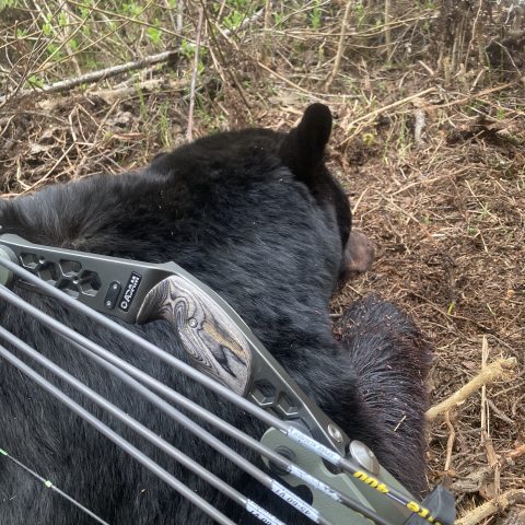 7CC27C5B 3A82 469C 84C3 B313CE839084